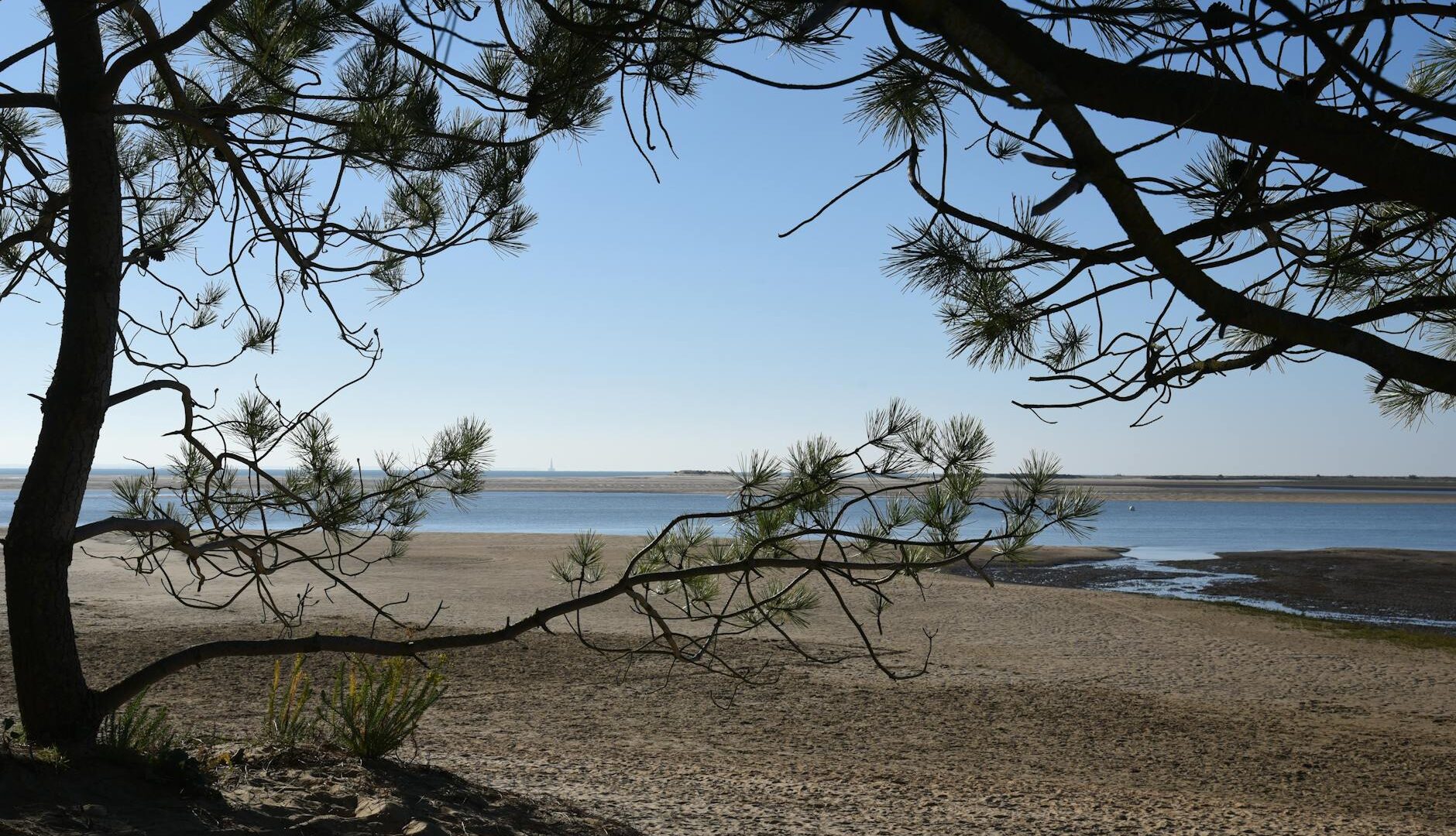 Estuaire de la Vilaine : balades, bateau, randos et plages. - Photo par Michel Meuleman