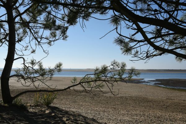 Estuaire de la Vilaine : balades, bateau, randos et plages. - Photo par Michel Meuleman