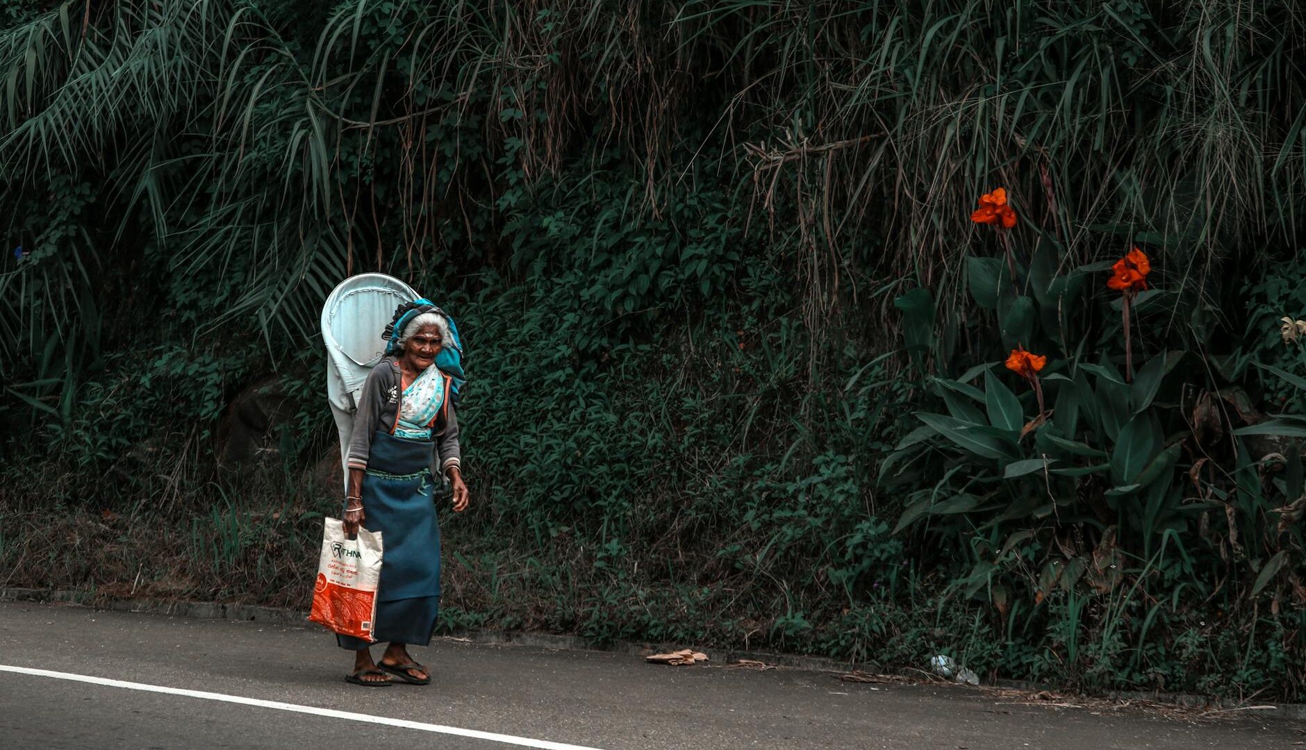 Sri Lanka 2 semaines : itinéraire, budget et train mythique - GirlvsGlobe86
