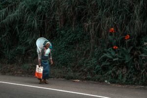 Sri Lanka 2 semaines : itinéraire, budget et train mythique