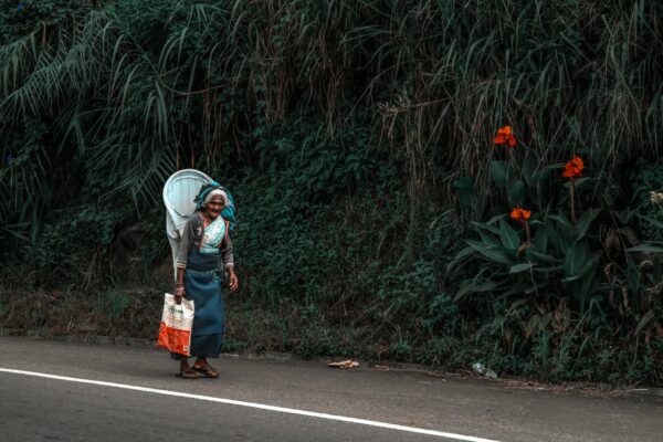 Sri Lanka 2 semaines : itinéraire, budget et train mythique - GirlvsGlobe86