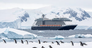 Croisière Antarctique : budget réel et astuces