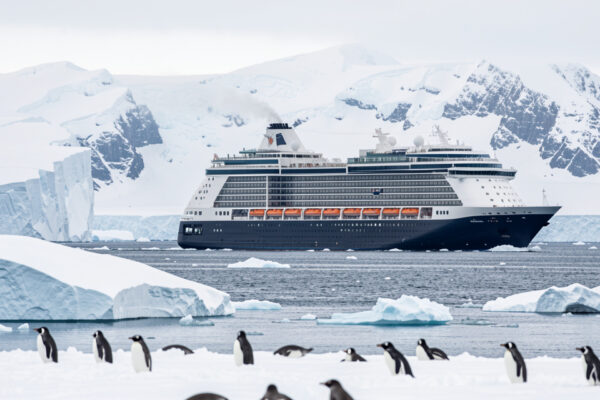 Croisière Antarctique : budget réel et astuces