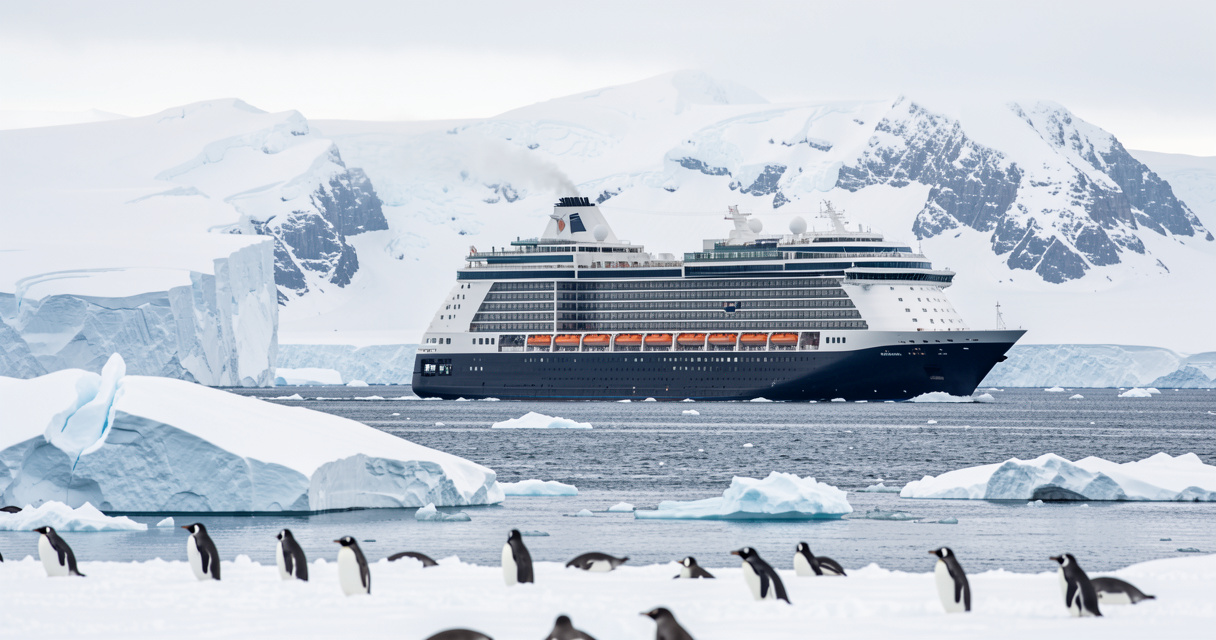 Croisière Antarctique : budget réel et astuces