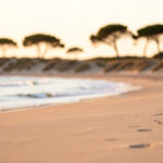 Meilleures plages naturistes en France : notre sélection 2026