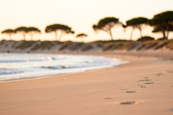 Meilleures plages naturistes en France : notre sélection 2026