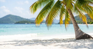 Antilles : comment choisir et quand partir sans se tromper