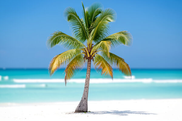 Où partir en décembre : soleil et bons plans